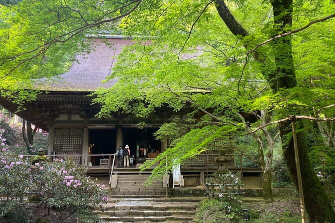 Exclusive Luxury Day Tours Serene Nara - Pricing and Reservation Details