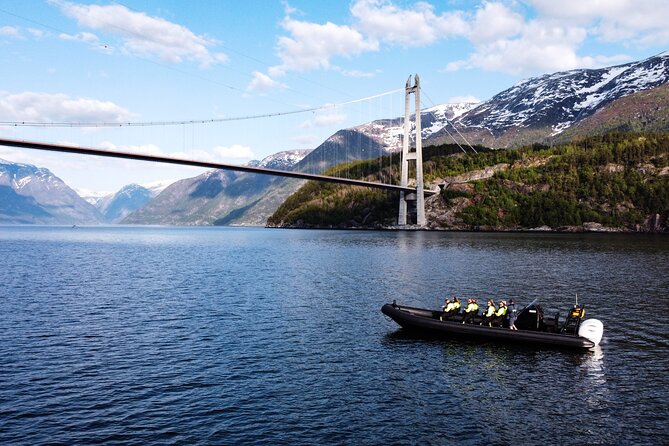 Exclusive & Private Hardangerfjord RIB Safari Tour From Ulvik - Restrictions and Recommendations