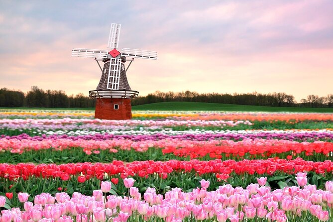 Exclusive Private Keukenhof and Tulip Fields Tour - Pricing and Booking Details
