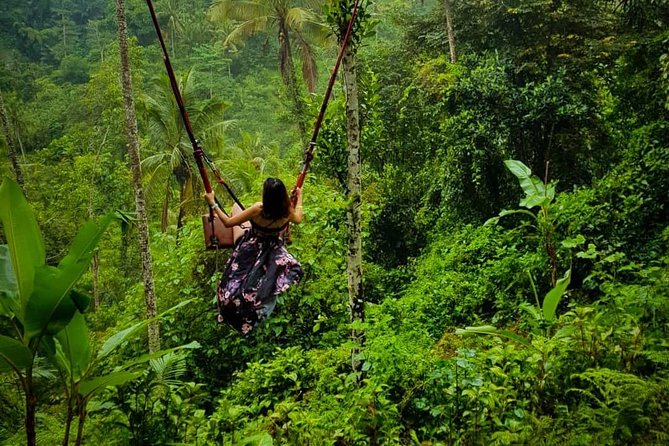 Excotic Spa & Jungle Swing - The Sum Up