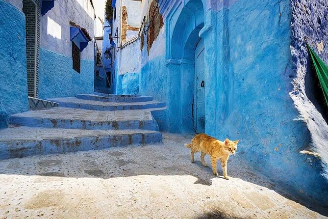 Excursion 1 Day to Chefchauen Blue City - Accessibility Considerations
