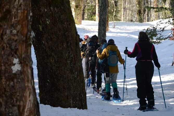 Excursion to Los Nevados, Villarrica National Park - What To Expect