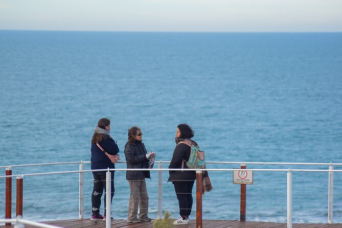 Excursion to the Valdés Peninsula From Puerto Madryn - Valdés Peninsula: A Natural Wonder