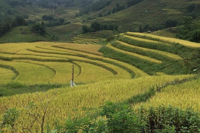 Experience Custom Day Trek Adventure in Sapa - Frequently Asked Questions
