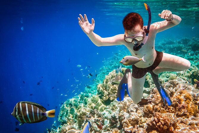 Experience Snorkeling Safari in Marsa Alam