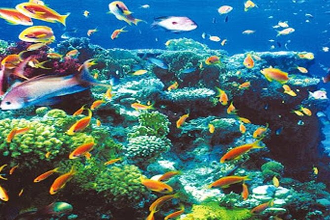 Experience the Ultimate Full-Day Boat Trip in Hurghada - Safety and Accessibility Information