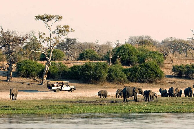 Experience Victoria Falls and Chobe National Park (4 Days Trip) - Day 4: Departure and Farewell
