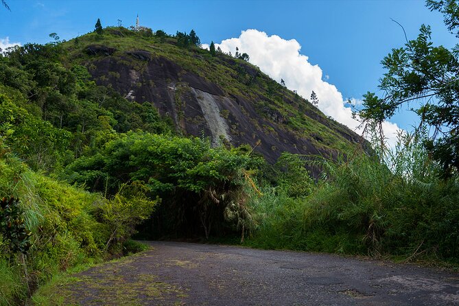 Explore Ambuluwawa Biodiversity Complex From Kandy - Pricing Information