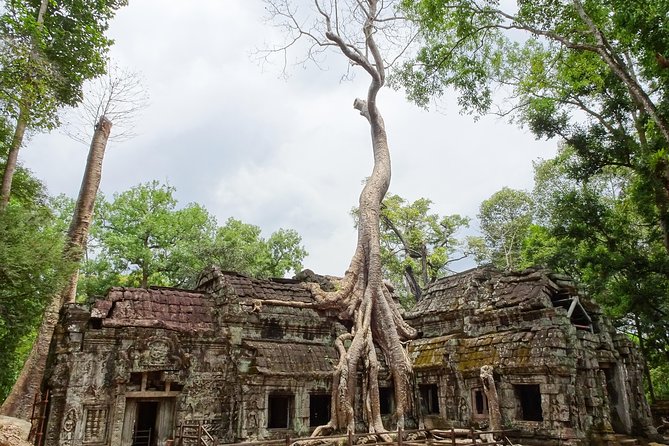 Explore Angkor Wat and Ta Phrom in Depth - General Information