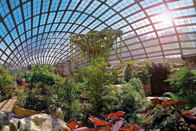Explore Georgetown City Tour With Entopia Penang Butterfly Farm - Additional Offerings