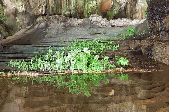 Explore Halong Heritage Site With Boat Trip Full Day - Accessibility and Group Size