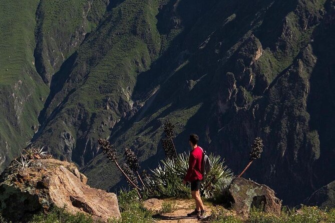 Explore the Majesty of the Colca Canyon in 2 Days and 1 Night. - Booking