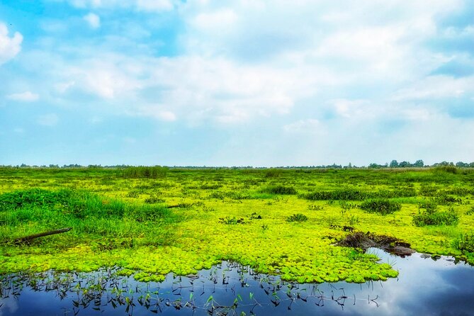 Explore U Minh Thuong Forests - Conservation Efforts