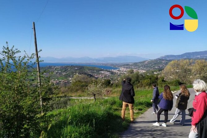 Exploring a Cilento Village by E-Bike With Wine Tasting - Price and Booking Details