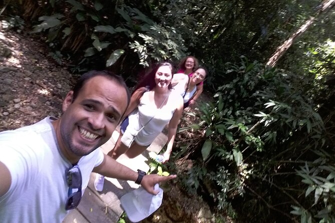Exploring the Incredible Nature of Tijuca National Park. - The Sum Up