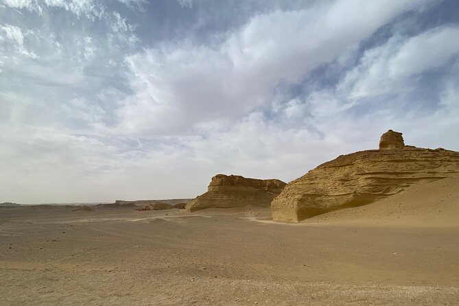 Fayoum Full Day Tour Bird Watching - Transportation Details