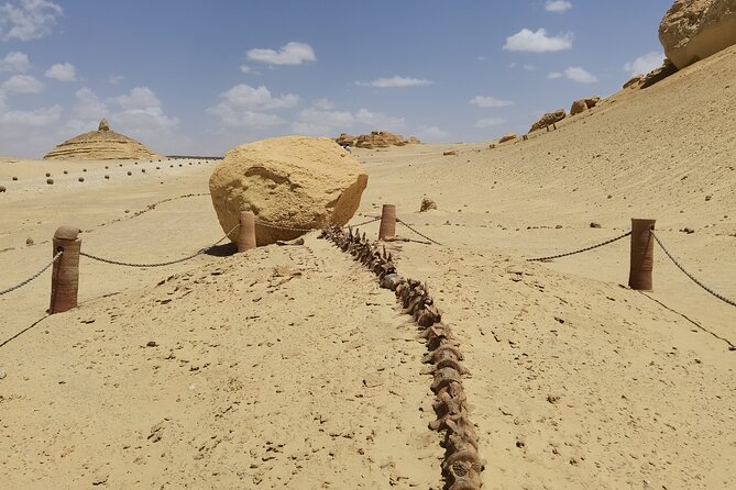 Fayoum Oasis Adventure 4WD Desert Safari With Traditional Lunch - Tour Operator Details