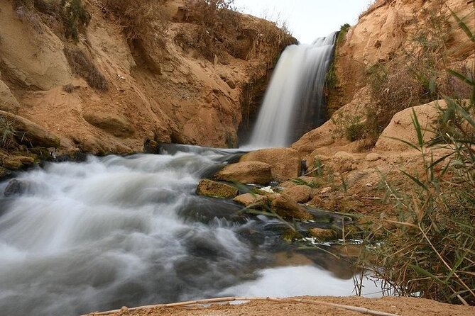 Fayoum Oasis:4x4 Safari,Wadi of the Whales,waterfalls,Sandsurfing - Exciting Sandsurfing Adventure