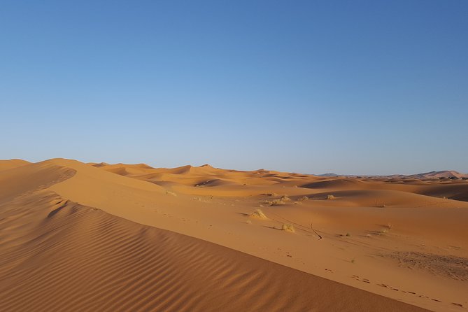 Fez and the Desert From Marrakech. 3 Days Private Tour - Booking Confirmation and Information
