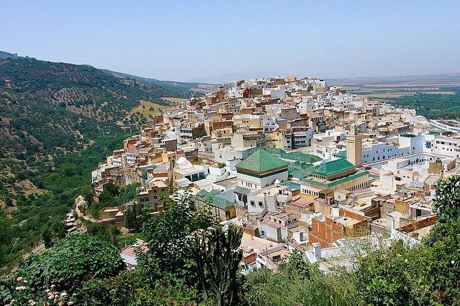Fez to Meknes,Moulay Idriss & Volubilis Day Trip - Operator Details