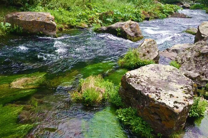Fishing Tour From Tbilisi - Cancellation and Payment Options