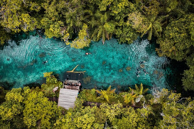 Floating in the Blue Spring - Tour Inclusions and Details