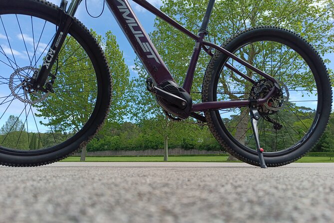 Florence Private E-Bike Adventure to Iconic Attractions & Hills - Booking and Reservation