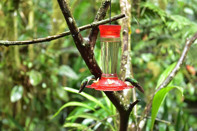 Four Days of Adventure and Adrenaline - Booking Process and Information