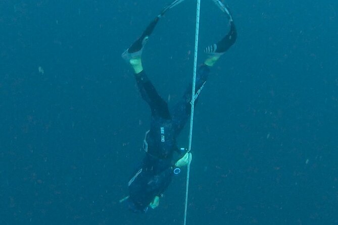 Freediving in Costa Rica - Provided Equipment and Services