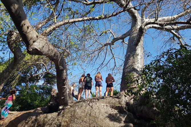 Friki Farika Isle of Kwale Adventure - Pickup Options