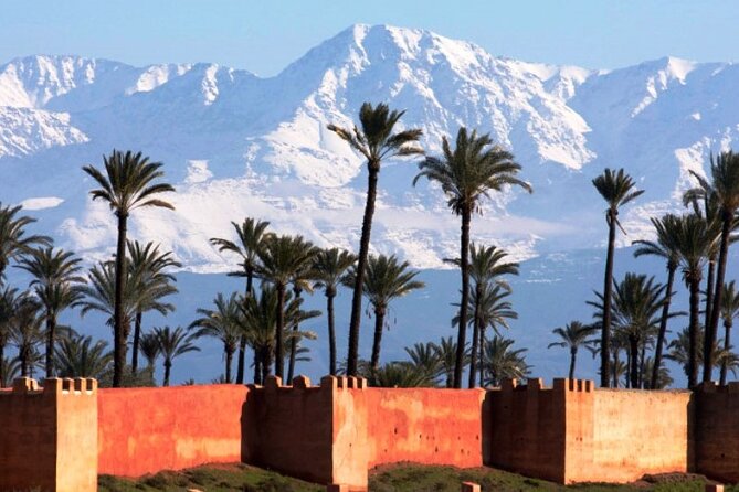 From Agadir Guided Day Trip to Marrakech &Umkletterziegen - Expectations for the Trip