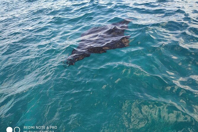 From Bali One Day Nusa Penida Tours With Manta Rays Snorkeling - Tour Highlights