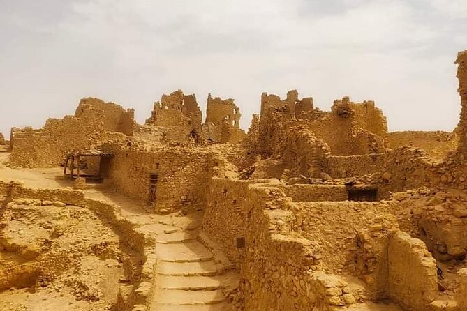 From Cairo to Siwa 2 Days One Night - Transportation Logistics