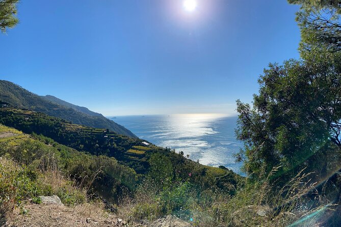 From FLORENCE: Guided Tour of Breathtaking Coast of Cinque Terre - Activity Expectations