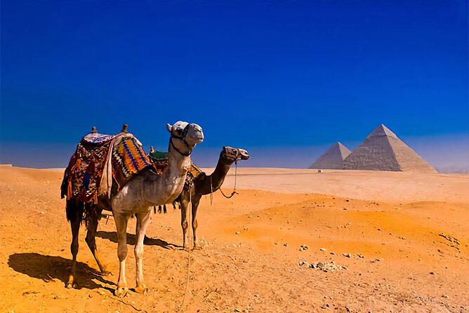 From Hurghada: Full-Day Trip to Cairo by Bus - Accessibility Features