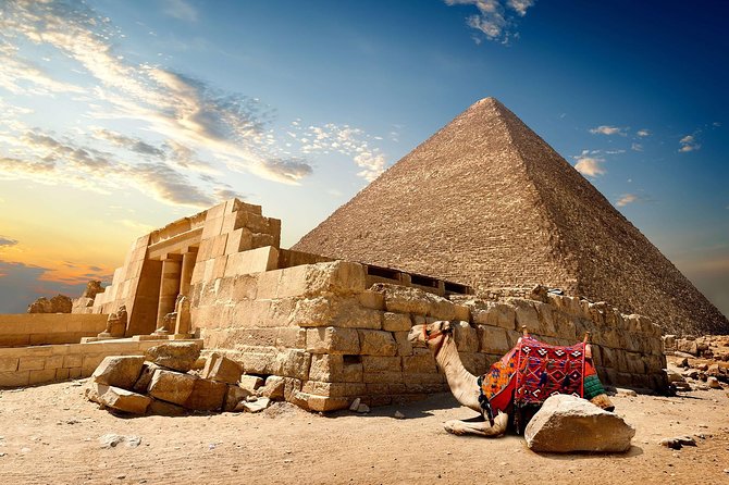 From Hurghada Full-Day Trip to Cairo & Giza by Bus - Booking Options