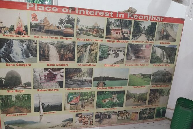 From Kolkata-All Inclusive Seranda Forest Elephant Corridor Tour - Additional Information and Accessibility