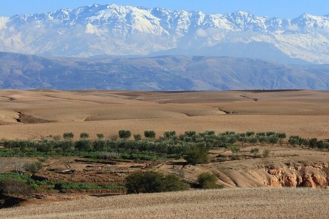 From MARRAKECH : Atlas Day Trip & Camel ,Agafay - Additional Information