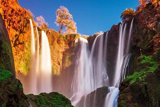 From Marrakech : Shared Tour to Ouzoud Waterfalls - What to Expect at Ouzoud Waterfalls