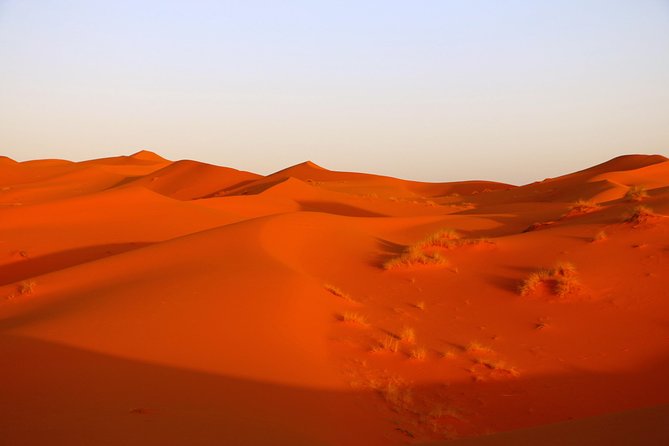 From Ouarzazate: Private 12 Days-Trekking in Draa Valley and Erg Chegaga Dunes - Cultural Experiences Included