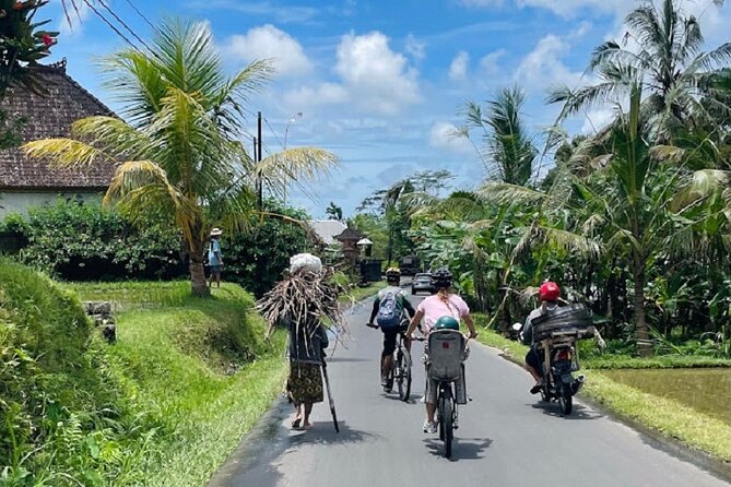 From Ubud Electric Bike Bali Countryside Ubud Tegalalang - Ubud Tegalalang Itinerary