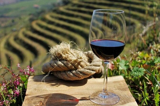 From Vine to Wine: A Harvest Adventure in Douro Valley - Important Notes to Consider