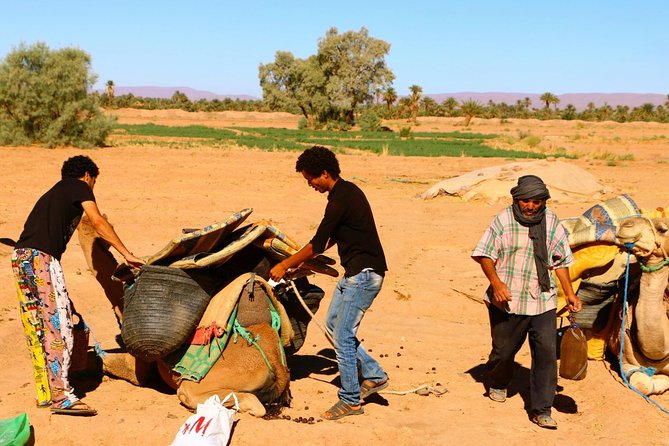 From Zagora: 6 Days Private Camel Trekking to Mhamid Desert - Health and Safety Considerations