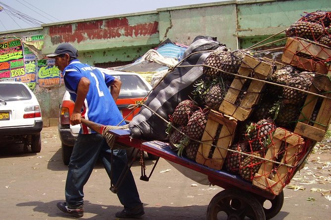 Fruit Kingdom - the Biggest Fruit Market of Lima - Cultural Immersion Experience
