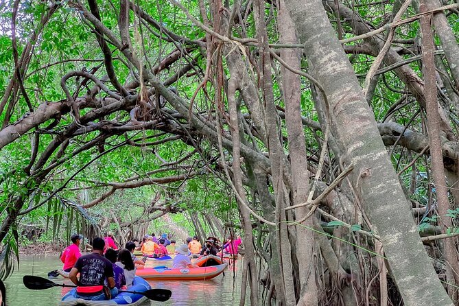Full Day Canoe Boat Trip At Takuapa Little Amazon From Khao Lak - Pricing and Payment