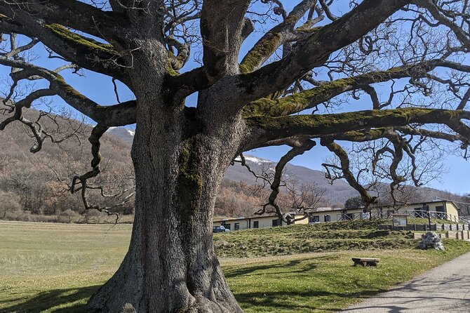 Full Day Circle Hiking Around Santa Scolastica - Guidelines and Restrictions