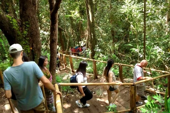 Full-Day Doi Inthanon National Park Tour With Trek and Pagodas - Pagodas and Temples Visit