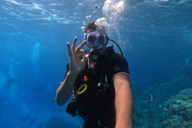 Full Day Experience in Marsa Mubarak With Diving and Lunch - Price Details and Guarantees