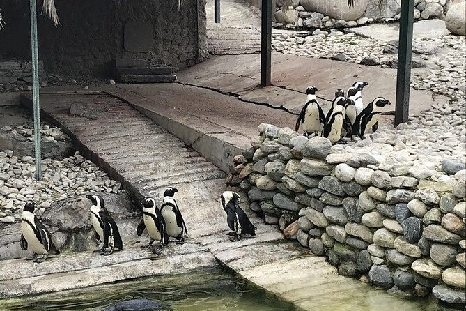 Full Day Exploration of Sapanca and Masukiye From Istanbul - Booking Information