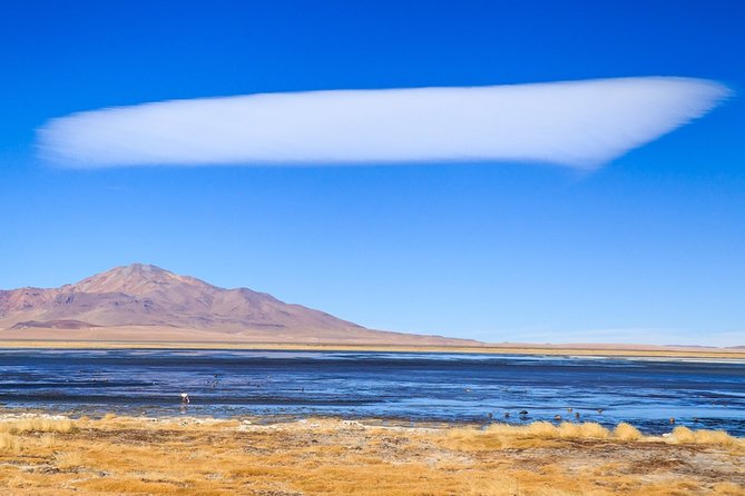 Full Day Geyser Del Tatio + Cejar Lagoon Shared Tour - Pickup Information